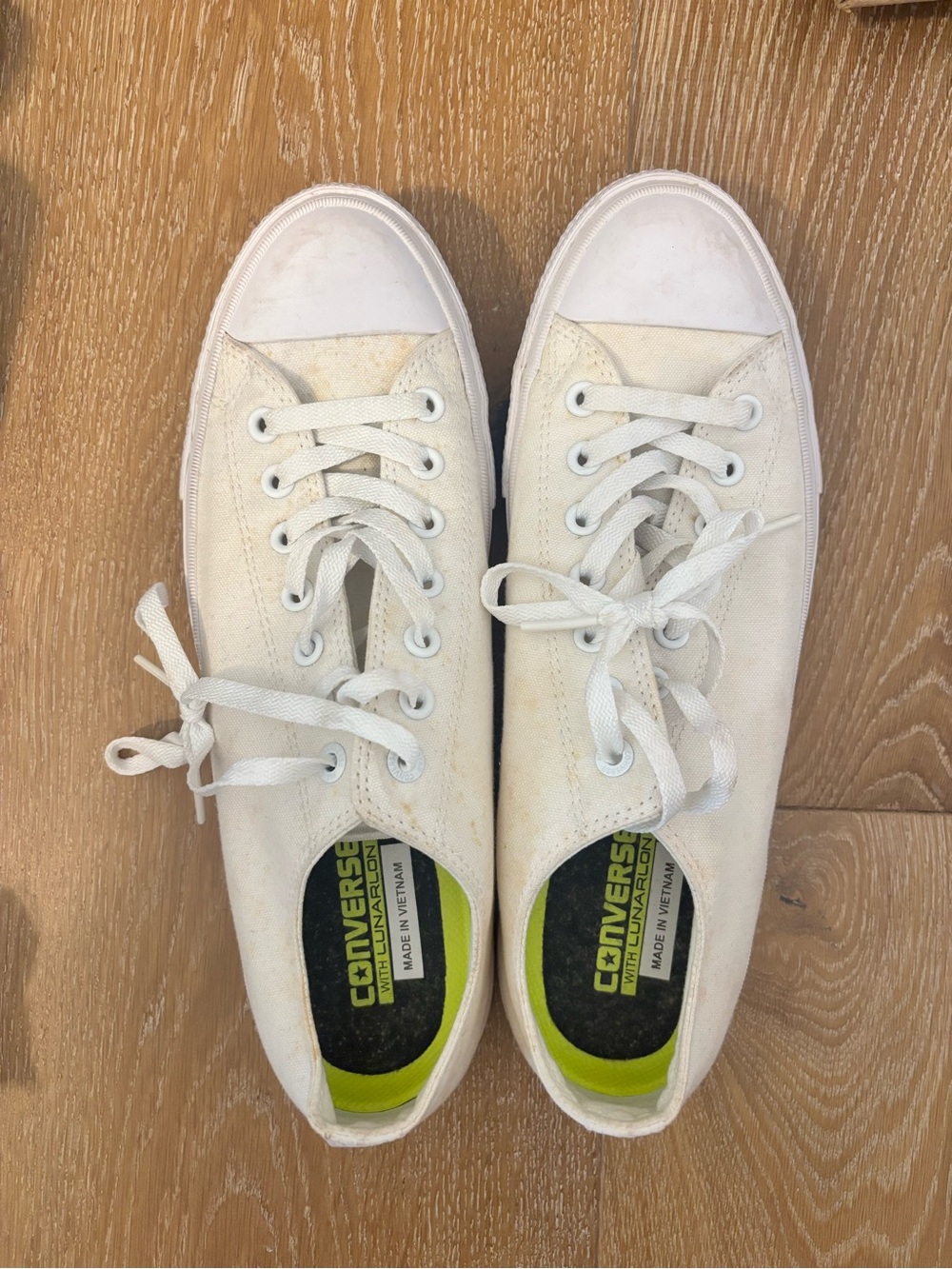 Converse All Star Low Top Canvas Sneakers